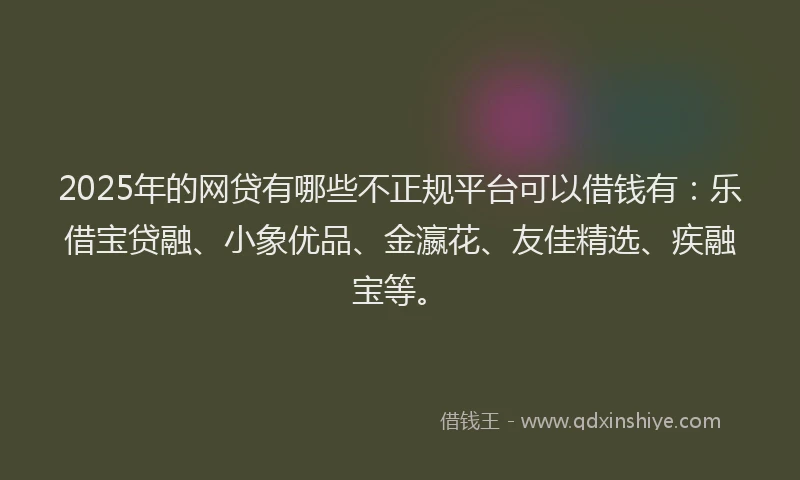 2025年的网贷有哪些不正规平台可以借钱有：乐借宝贷融、小象优品、金瀛花、友佳精选、疾融宝等。