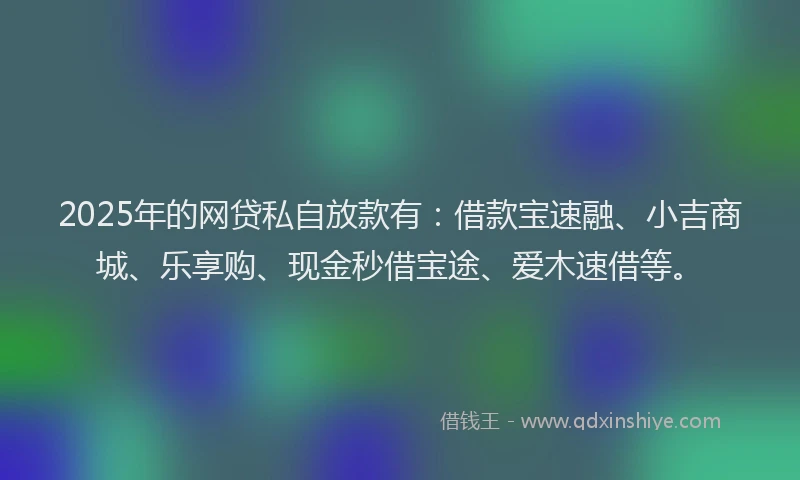 2025年的网贷私自放款有：借款宝速融、小吉商城、乐享购、现金秒借宝途、爱木速借等。