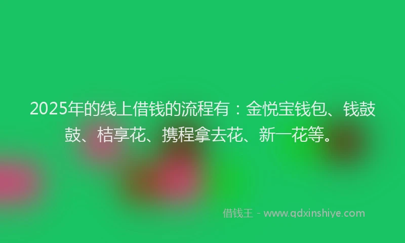 2025年的线上借钱的流程有：金悦宝钱包、钱鼓鼓、桔享花、携程拿去花、新一花等。