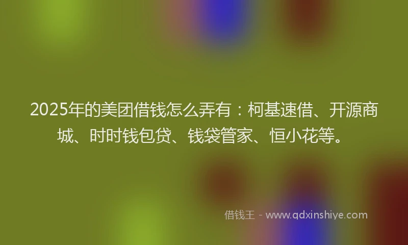 2025年的美团借钱怎么弄有：柯基速借、开源商城、时时钱包贷、钱袋管家、恒小花等。