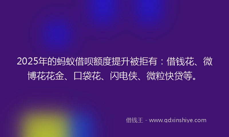 2025年的蚂蚁借呗额度提升被拒有：借钱花、微博花花金、口袋花、闪电侠、微粒快贷等。