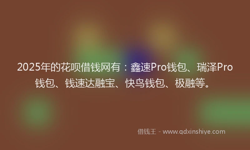 2025年的花呗借钱网有：鑫速Pro钱包、瑞泽Pro钱包、钱速达融宝、快鸟钱包、极融等。