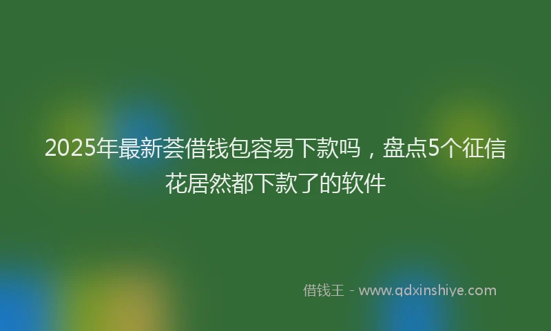 2025年最新荟借钱包容易下款吗，盘点5个征信花居然都下款了的软件