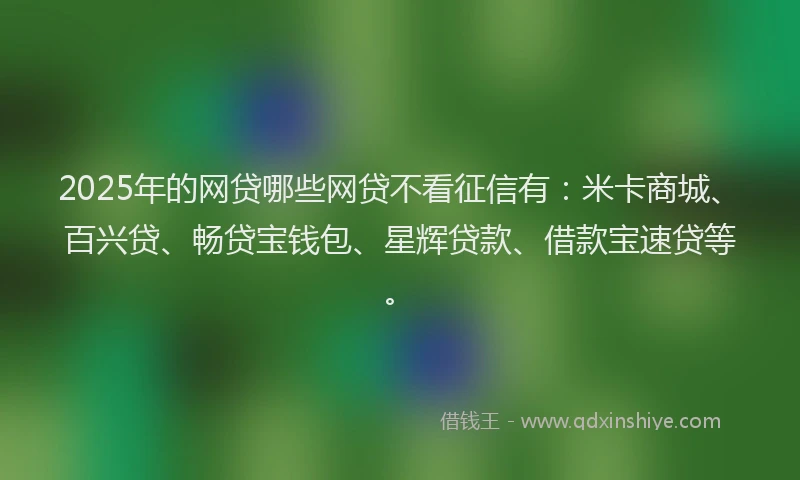 2025年的网贷哪些网贷不看征信有：米卡商城、百兴贷、畅贷宝钱包、星辉贷款、借款宝速贷等。