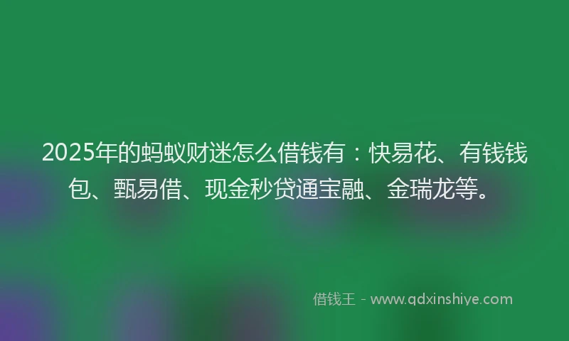 2025年的蚂蚁财迷怎么借钱有：快易花、有钱钱包、甄易借、现金秒贷通宝融、金瑞龙等。