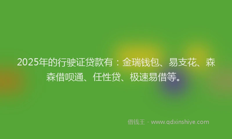 2025年的行驶证贷款有：金瑞钱包、易支花、森森借呗通、任性贷、极速易借等。
