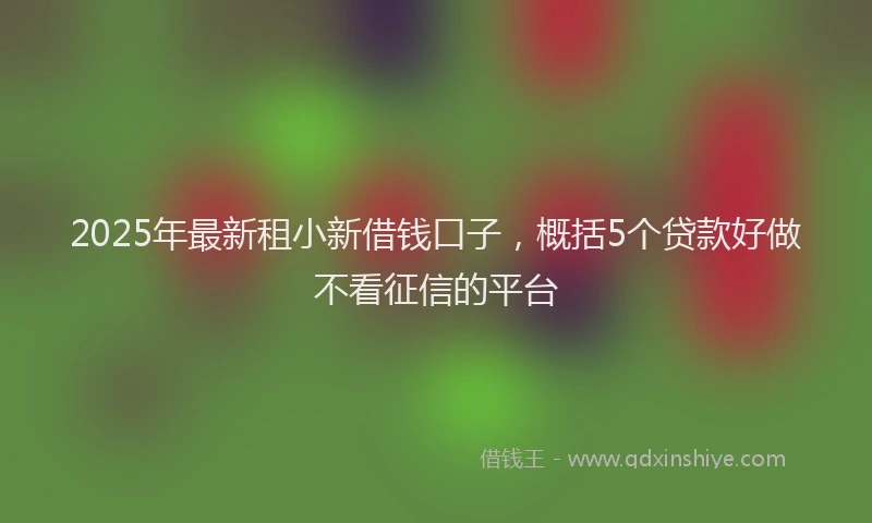 2025年最新租小新借钱口子，概括5个贷款好做不看征信的平台