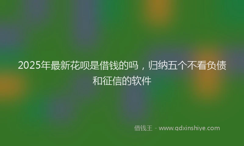 2025年最新花呗是借钱的吗，归纳五个不看负债和征信的软件