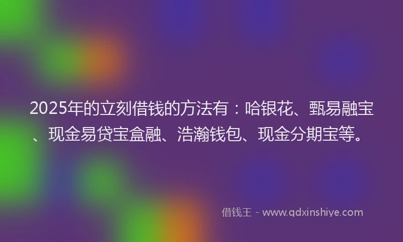 2025年的立刻借钱的方法有：哈银花、甄易融宝、现金易贷宝盒融、浩瀚钱包、现金分期宝等。