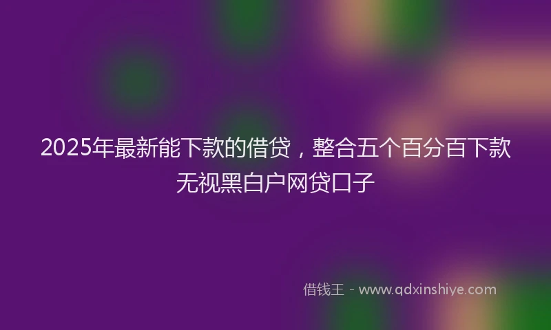 2025年最新能下款的借贷，整合五个百分百下款无视黑白户网贷口子