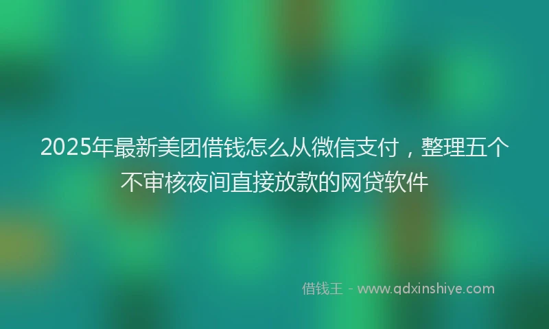 2025年最新美团借钱怎么从微信支付，整理五个不审核夜间直接放款的网贷软件