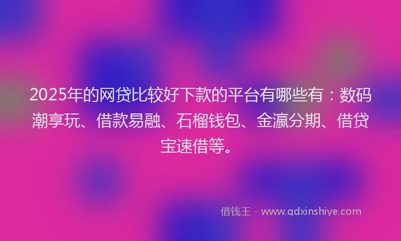 2025年的网贷比较好下款的平台有哪些有：数码潮享玩、借款易融、石榴钱包、金瀛分期、借贷宝速借等。