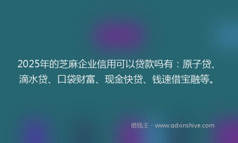 2025年的芝麻企业信用可以贷款吗有：原子贷、滴水贷、口袋财富、现金快贷、钱速借宝融等。