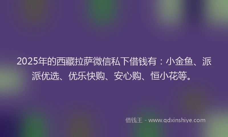 2025年的西藏拉萨微信私下借钱有：小金鱼、派派优选、优乐快购、安心购、恒小花等。