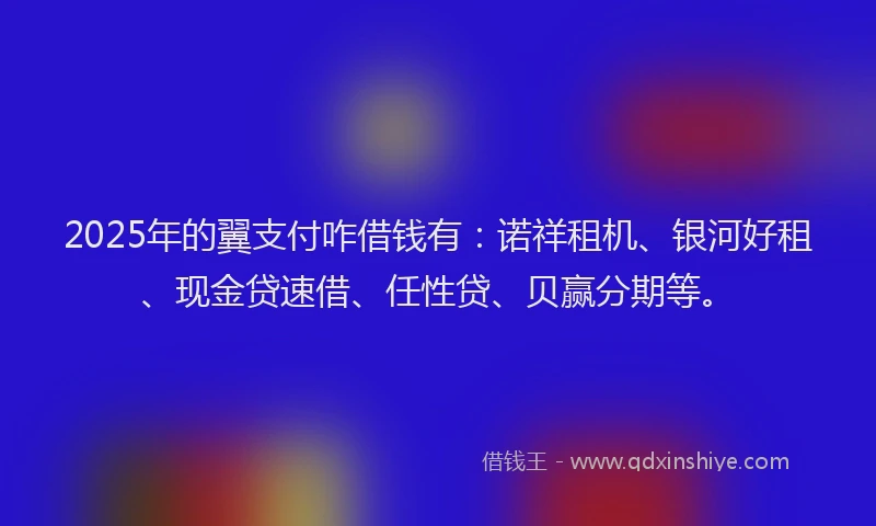 2025年的翼支付咋借钱有：诺祥租机、银河好租、现金贷速借、任性贷、贝赢分期等。