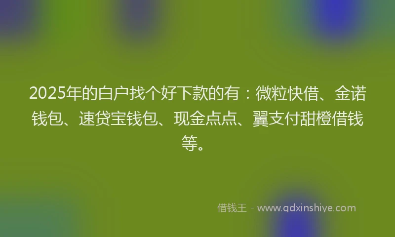 2025年的白户找个好下款的有：微粒快借、金诺钱包、速贷宝钱包、现金点点、翼支付甜橙借钱等。