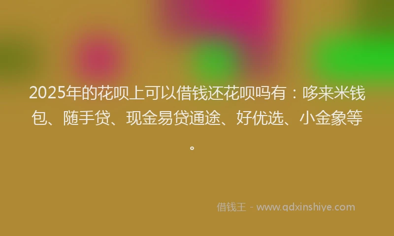 2025年的花呗上可以借钱还花呗吗有：哆来米钱包、随手贷、现金易贷通途、好优选、小金象等。
