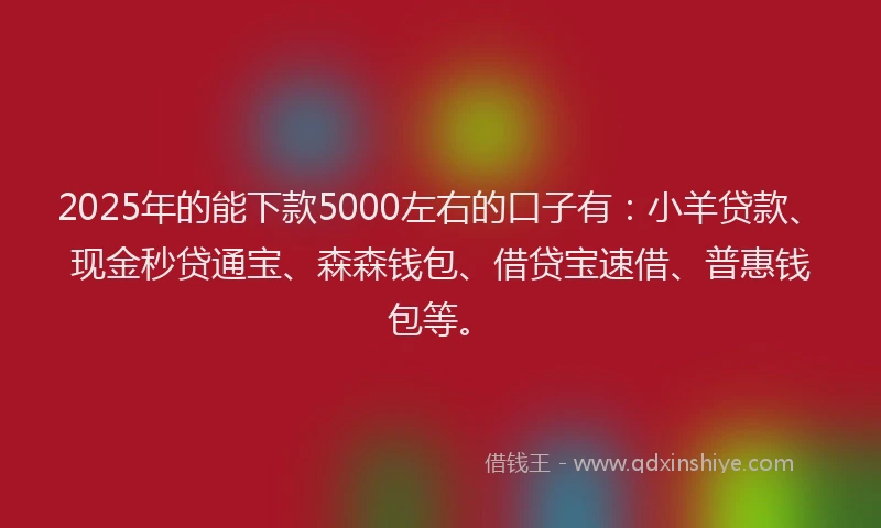 2025年的能下款5000左右的口子有：小羊贷款、现金秒贷通宝、森森钱包、借贷宝速借、普惠钱包等。