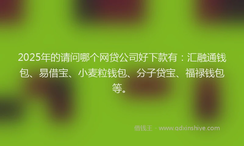 2025年的请问哪个网贷公司好下款有：汇融通钱包、易借宝、小麦粒钱包、分子贷宝、福禄钱包等。