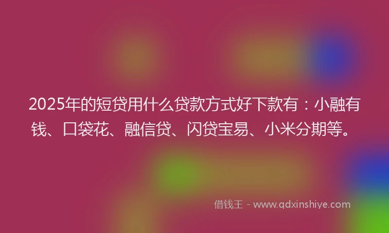 2025年的短贷用什么贷款方式好下款有：小融有钱、口袋花、融信贷、闪贷宝易、小米分期等。