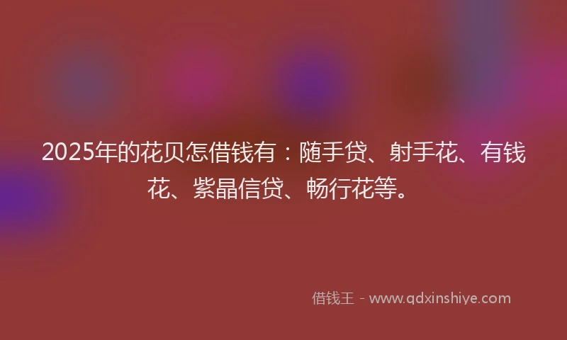 2025年的花贝怎借钱有：随手贷、射手花、有钱花、紫晶信贷、畅行花等。