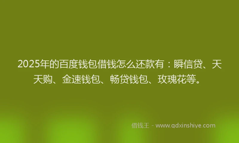 2025年的百度钱包借钱怎么还款有：瞬信贷、天天购、金速钱包、畅贷钱包、玫瑰花等。