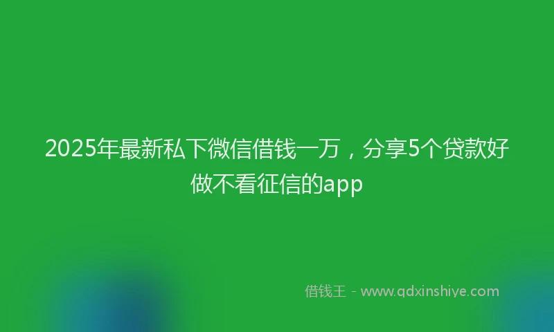 2025年最新私下微信借钱一万，分享5个贷款好做不看征信的app