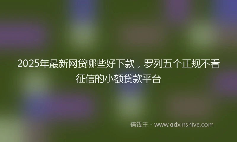 2025年最新网贷哪些好下款，罗列五个正规不看征信的小额贷款平台