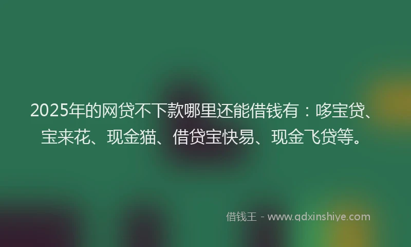 2025年的网贷不下款哪里还能借钱有：哆宝贷、宝来花、现金猫、借贷宝快易、现金飞贷等。