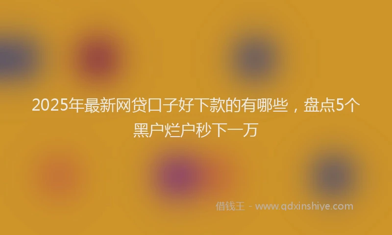 2025年最新网贷口子好下款的有哪些，盘点5个黑户烂户秒下一万
