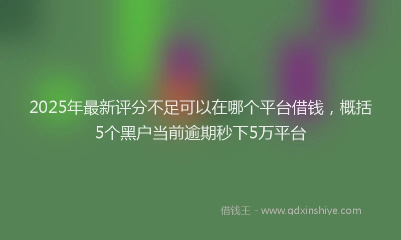 2025年最新评分不足可以在哪个平台借钱，概括5个黑户当前逾期秒下5万平台