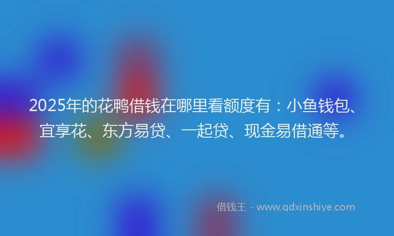 2025年的花鸭借钱在哪里看额度有：小鱼钱包、宜享花、东方易贷、一起贷、现金易借通等。