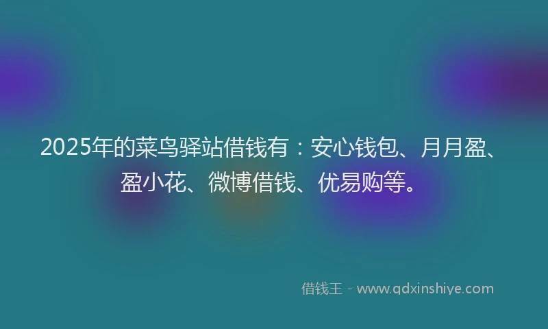 2025年的菜鸟驿站借钱有：安心钱包、月月盈、盈小花、微博借钱、优易购等。