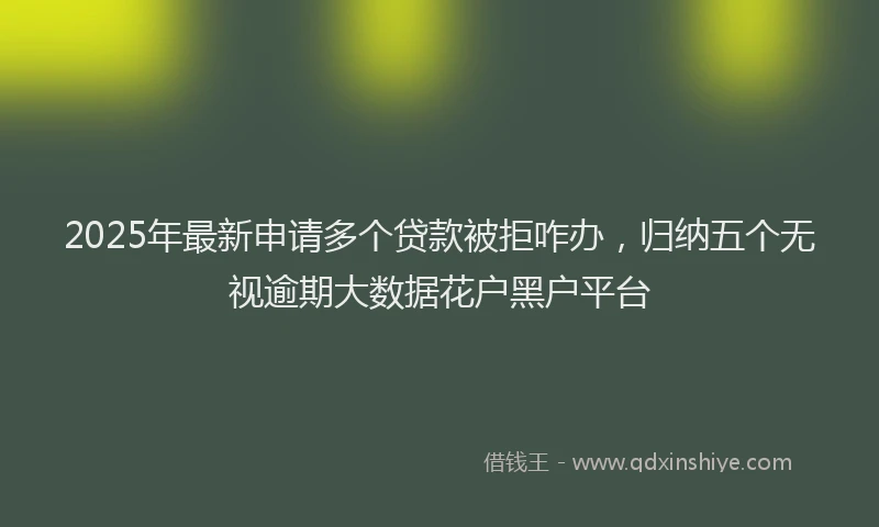 2025年最新申请多个贷款被拒咋办，归纳五个无视逾期大数据花户黑户平台