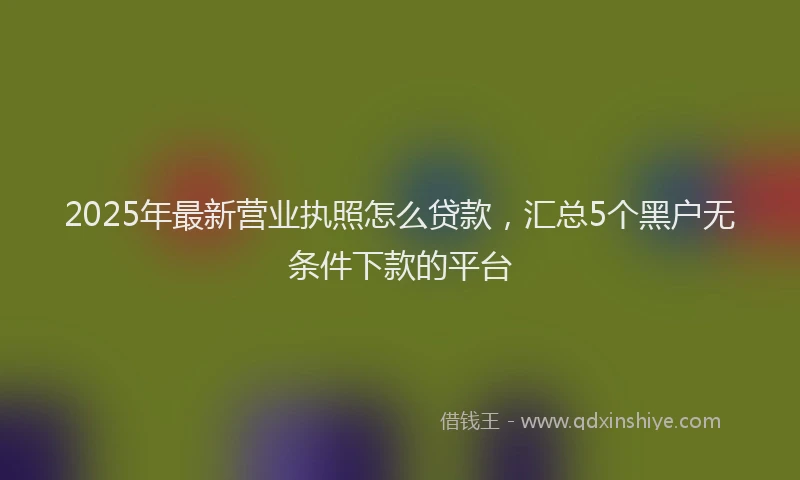 2025年最新营业执照怎么贷款，汇总5个黑户无条件下款的平台