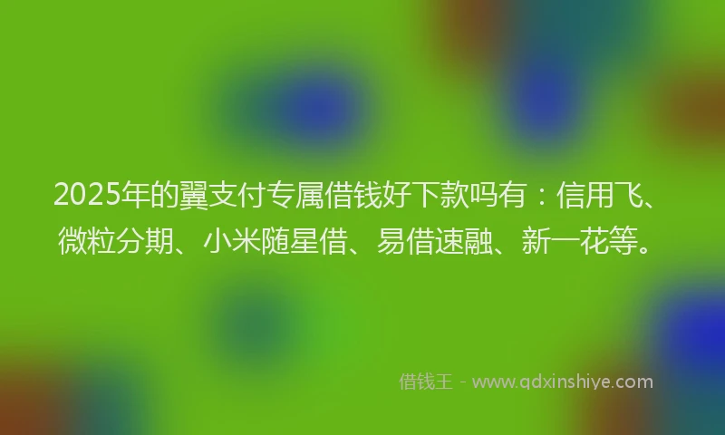 2025年的翼支付专属借钱好下款吗有：信用飞、微粒分期、小米随星借、易借速融、新一花等。
