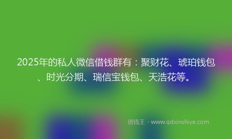 2025年的私人微信借钱群有：聚财花、琥珀钱包、时光分期、瑞信宝钱包、天浩花等。