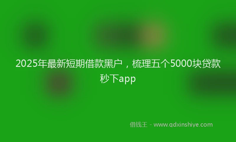 2025年最新短期借款黑户，梳理五个5000块贷款秒下app