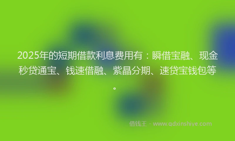2025年的短期借款利息费用有：瞬借宝融、现金秒贷通宝、钱速借融、紫晶分期、速贷宝钱包等。