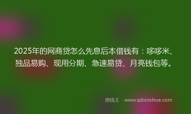 2025年的网商贷怎么先息后本借钱有：哆哆米、独品易购、现用分期、急速易贷、月亮钱包等。