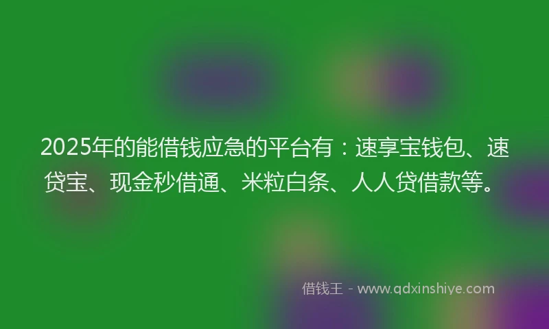 2025年的能借钱应急的平台有：速享宝钱包、速贷宝、现金秒借通、米粒白条、人人贷借款等。