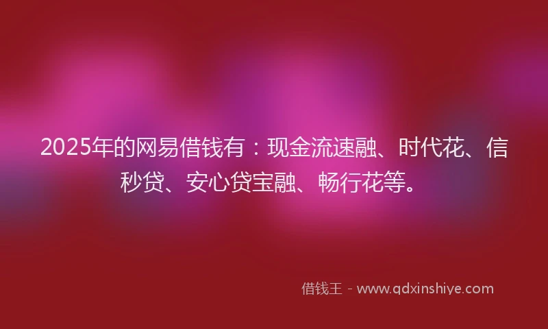 2025年的网易借钱有：现金流速融、时代花、信秒贷、安心贷宝融、畅行花等。