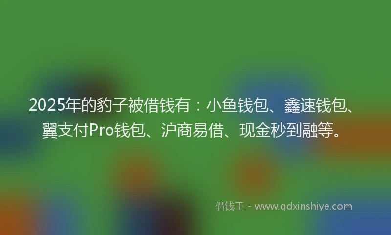 2025年的豹子被借钱有：小鱼钱包、鑫速钱包、翼支付Pro钱包、沪商易借、现金秒到融等。
