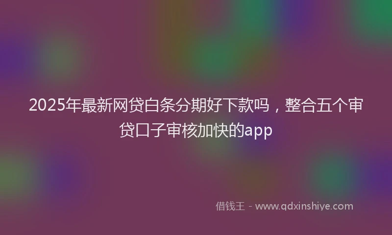 2025年最新网贷白条分期好下款吗，整合五个审贷口子审核加快的app