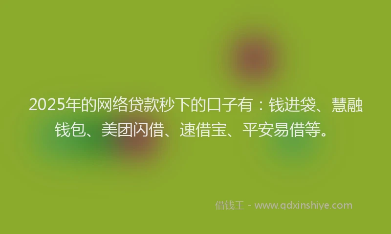 2025年的网络贷款秒下的口子有：钱进袋、慧融钱包、美团闪借、速借宝、平安易借等。