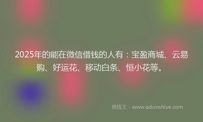 2025年的能在微信借钱的人有：宝盈商城、云易购、好运花、移动白条、恒小花等。