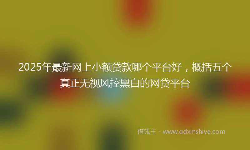 2025年最新网上小额贷款哪个平台好，概括五个真正无视风控黑白的网贷平台