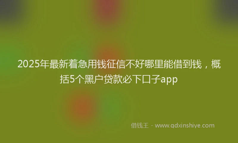2025年最新着急用钱征信不好哪里能借到钱，概括5个黑户贷款必下口子app