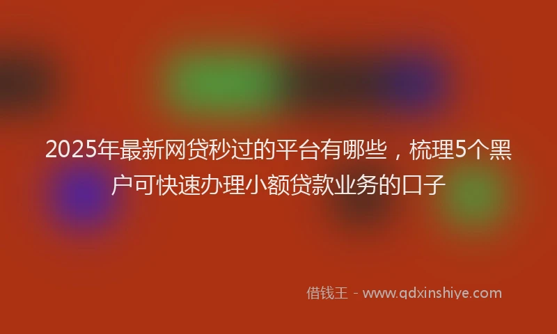 2025年最新网贷秒过的平台有哪些，梳理5个黑户可快速办理小额贷款业务的口子