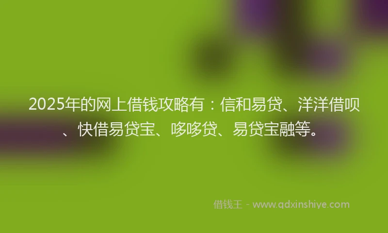 2025年的网上借钱攻略有：信和易贷、洋洋借呗、快借易贷宝、哆哆贷、易贷宝融等。